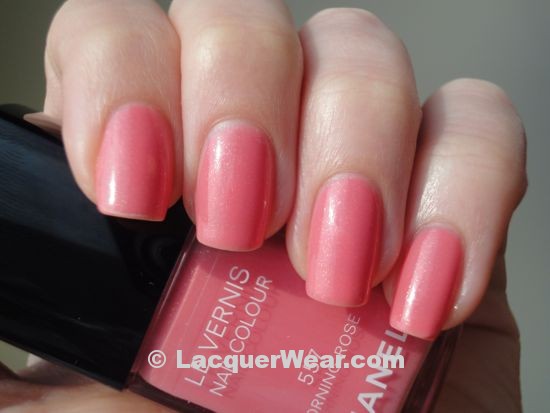 Chanel Morning Rose Chanel Morning Rose